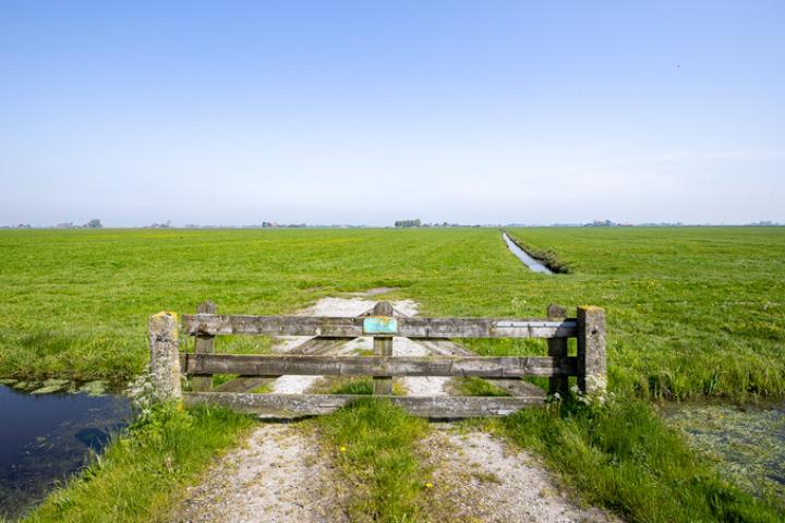 1610 hectare veenweidegrond aangemeld voor GLB-subsidie